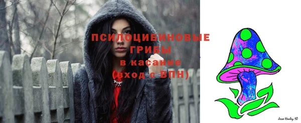 гашик Бугульма