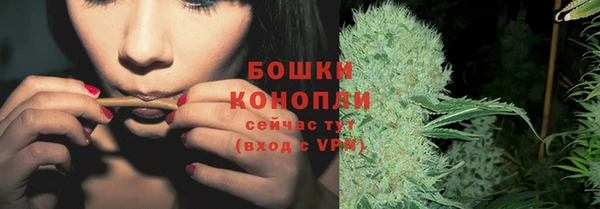 шишки Бородино