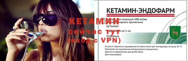 шишки Бородино