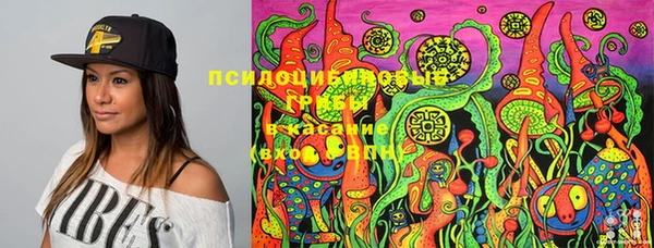гашик Бугульма
