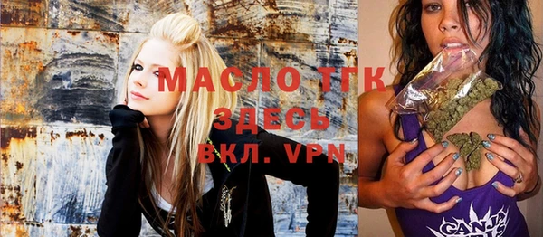 шишки Бородино