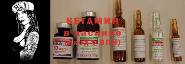 шишки Бородино
