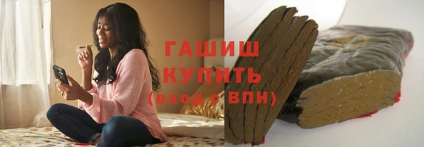 шишки Бородино