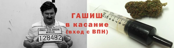 шишки Бородино
