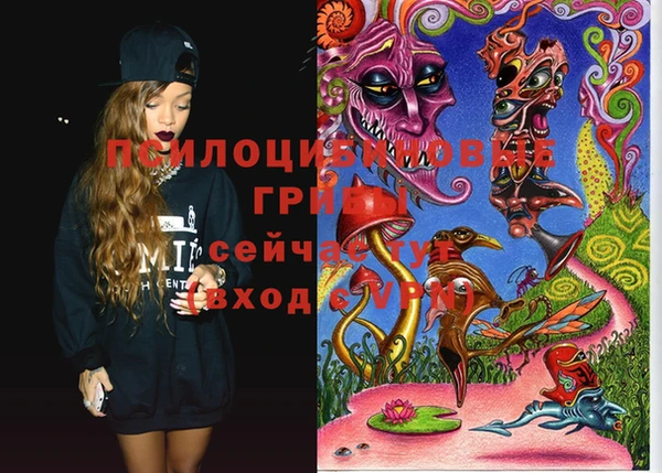 гашик Бугульма