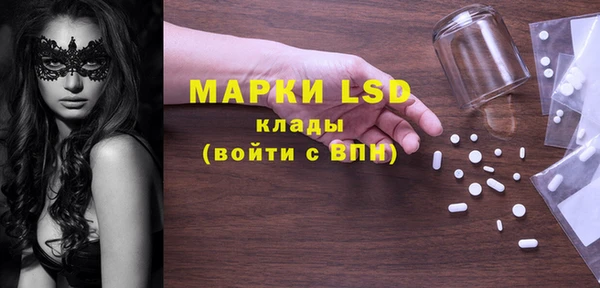 шишки Бородино