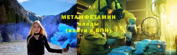 шишки Бородино